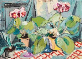 Töpfe mit Pelargonien Töpfe mit Pelargonien