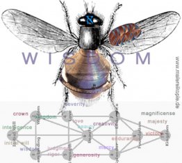 Kabbalah / Kabul: Senden Emanationen zu den Aliens Kabbalah / Kabul: Senden Emanationen zu den Aliens