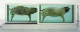 Schweinchen Schweinchen