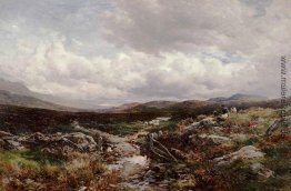 In der Nähe Festiniog In der Nähe Festiniog
