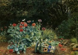 Sommerblumen in einer ruhigen Ecke des Gartens Sommerblumen in einer ruhigen Ecke des Gartens