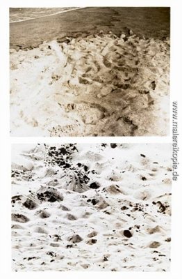 Duration Piece # 12, Venice, California - Plum Island, (Newburyp Duration Piece # 12, Venice, California - Plum Island, (Newburyp