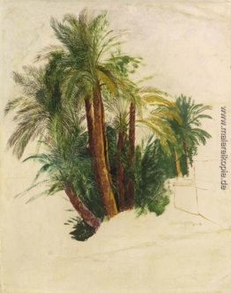Studium der Palmen Studium der Palmen