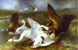 Swannery von Eagles Invaded Swannery von Eagles Invaded