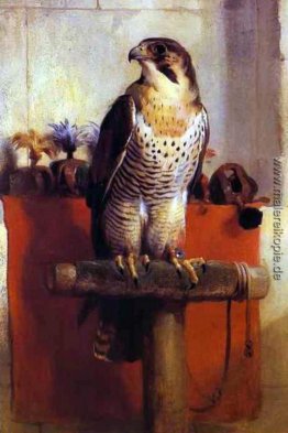 Der Falke Der Falke