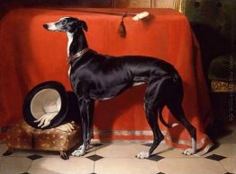 Eos, ein Lieblingshund von Prince Albert Eos, ein Lieblingshund von Prince Albert