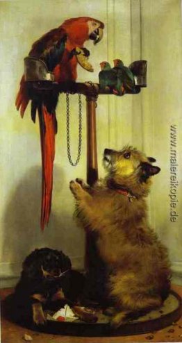 Ara, Liebes-Vögel, Terrier und Spaniel-Welpen, Zugehörigkeit zu Ara, Liebes-Vögel, Terrier und Spaniel-Welpen, Zugehörigkeit zu