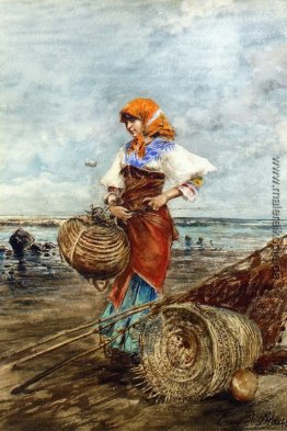 Sammeln von Herzmuscheln an der Küste Sammeln von Herzmuscheln an der Küste