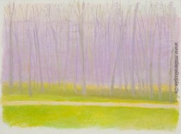 Subtile Rosa Subtile Rosa