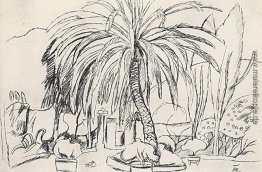 Spanische Landschaft. Palme. Spanische Landschaft. Palme.