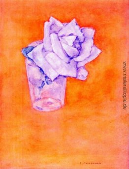 White Rose in einem Glas White Rose in einem Glas