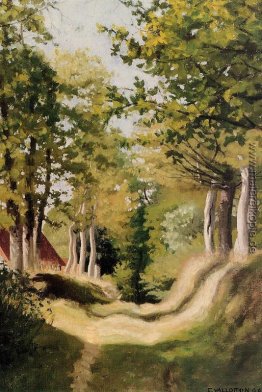 Unterholz Unterholz