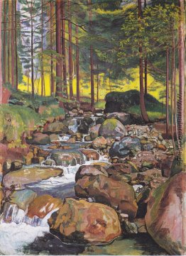Wald mit Bergbach Wald mit Bergbach