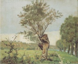 Weiden am Jonction in Genf Weiden am Jonction in Genf