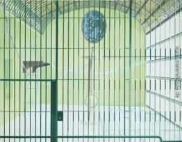 Cage vide Cage vide