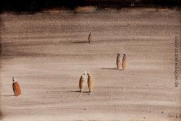 Die Zahlen in einem marokkanischen Landschaft Die Zahlen in einem marokkanischen Landschaft