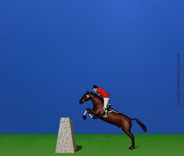 Springreiter Springreiter