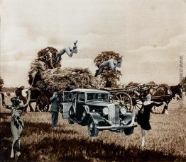 Während unserer Wanderung durch die Felder .. Während unserer Wanderung durch die Felder ..