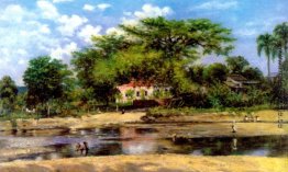 Ein paineira de Ponce - La Ceiba de Ponce Ein paineira de Ponce - La Ceiba de Ponce