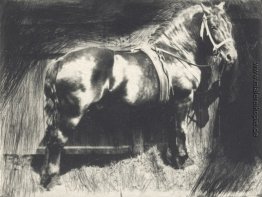 Das Pferd Das Pferd