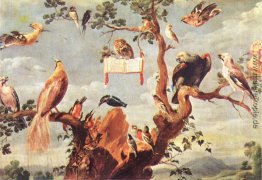 Konzert der Vögel Konzert der Vögel