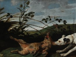 Greyhound Abfangen eines jungen Wildschwein Greyhound Abfangen eines jungen Wildschwein