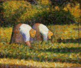 Farm Women at Work Farm Women at Work