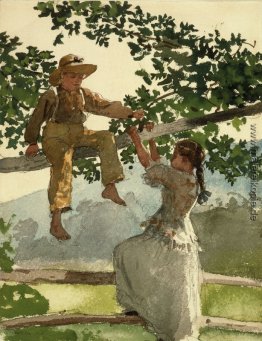 Auf dem Zaun Auf dem Zaun