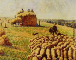Menge der Schafe in einem Feld nach der Ernte Menge der Schafe in einem Feld nach der Ernte