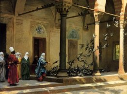 Harem Frauen Fütterung Tauben in einem Hof Harem Frauen Fütterung Tauben in einem Hof