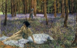 Bluebells Bluebells