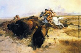Büffel-Jagd Büffel-Jagd