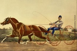 Die Feiern Pacing Mare Pacahontas Die Feiern Pacing Mare Pacahontas