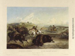 Indianer Jagd der Bisons, Platte 31 von Band 2 der "Reise in das Indianer Jagd der Bisons, Platte 31 von Band 2 der "Reise in das
