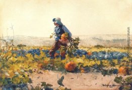 Für den ein Bauernjunge sein Für den ein Bauernjunge sein