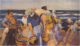 Fisher Fisher
