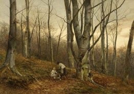 Ein Buchenholz, Malvern, Worcestershire Ein Buchenholz, Malvern, Worcestershire