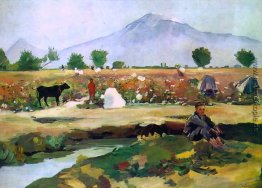 Kommissionierung Baumwolle im Tal Ararat Kommissionierung Baumwolle im Tal Ararat