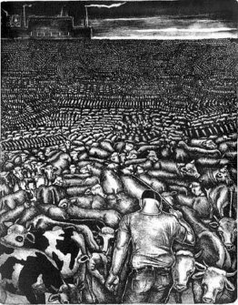 Feedlots Feedlots