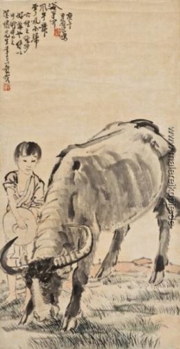 Buffalo und die Herde Boy Buffalo und die Herde Boy
