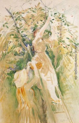 The Cherry Tree (Studie) The Cherry Tree (Studie)