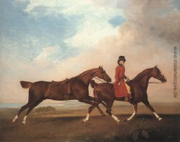 William Anderson mit zwei Reitpferde William Anderson mit zwei Reitpferde