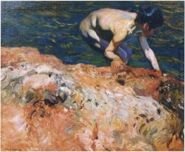 Auf der Suche nach Muscheln, Auf der Suche nach Muscheln,