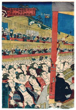 Sumo Zuschauer Sumo Zuschauer