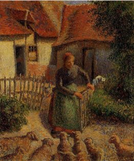 Hirtin bringen in Sheep Hirtin bringen in Sheep