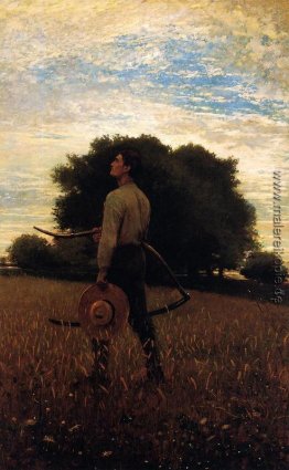 Lied der Lerche (auch bekannt als im Feld) Lied der Lerche (auch bekannt als im Feld)