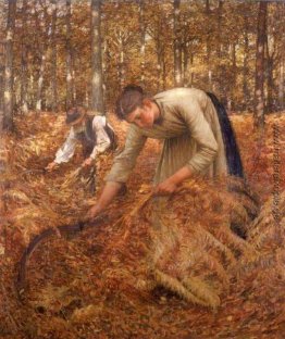 Sammeln Bracken Sammeln Bracken