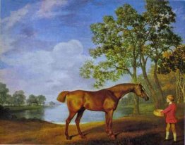 Kürbis mit Stable Lad Kürbis mit Stable Lad