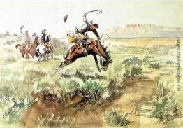 Bronco Busting Bronco Busting