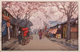 Avenue of Cherry Trees Avenue of Cherry Trees